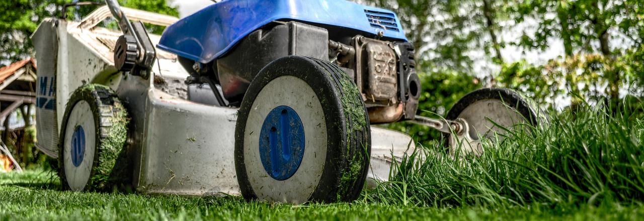 Neue Öko-Gartenbauschule startet nächstes Schuljahr in Langenlois