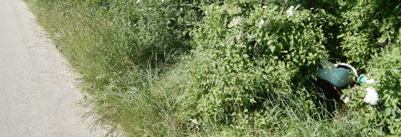 Sperrmüll in freier Natur entsorgt