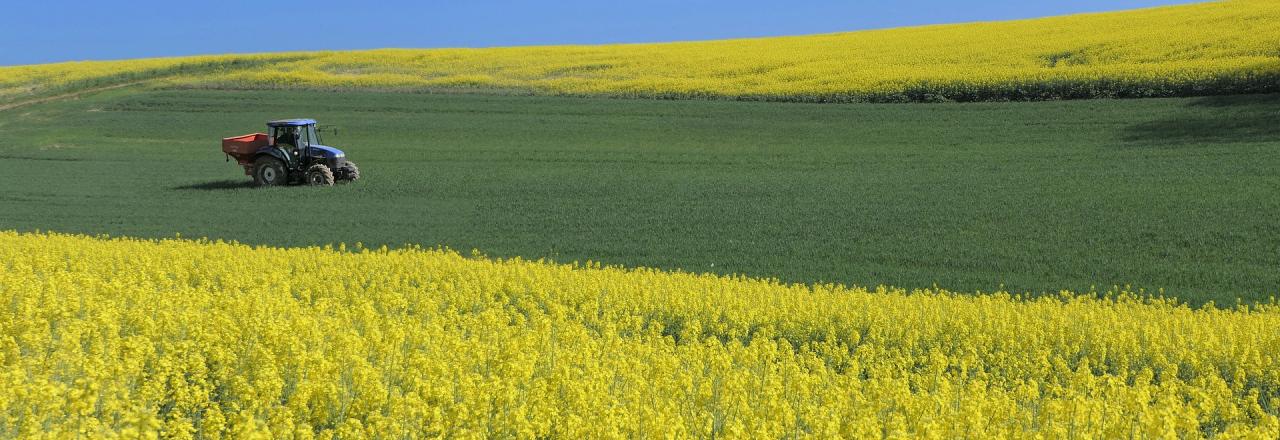 Regionalität als Schlüsselfaktor im Klimaschutz