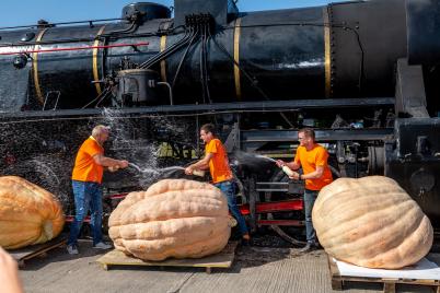 735,7 Kilogramm wiegt der schwerste „Bluza“ Österreichs