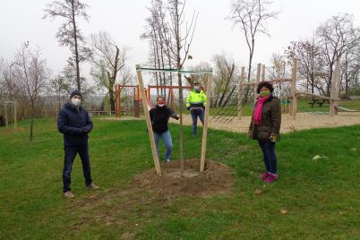 Ersatz-Pflanzungen am Generationenplatz in Ebendorf