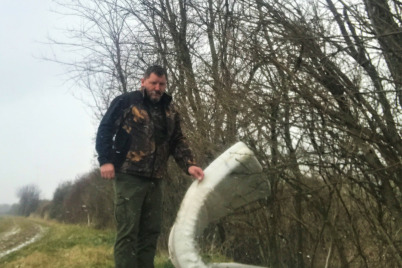 Rücksichtslose Umweltsünder unterwegs