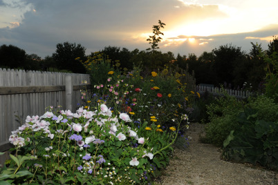 Gartensommer-Vollmondnacht in idyllischer Kulisse 