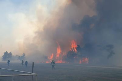 200 Feuerwehrler im Einsatz bei Groß-Waldbrand