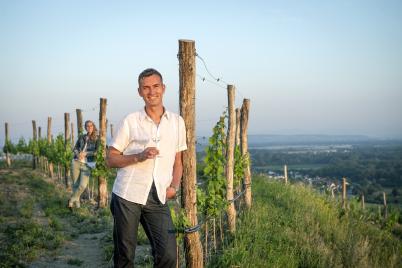 Versandkostenfreie Weinpakete und Weinsommer mit tollen Ausflugsideen zum Wein!