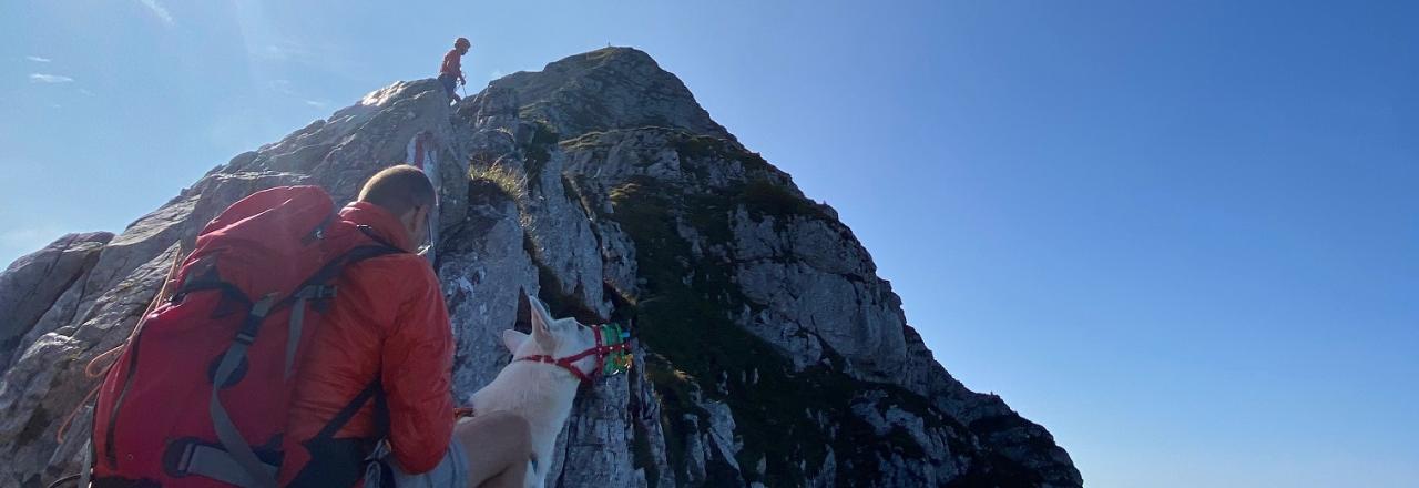 Zwei Flugeinsätze nach alpinen Notlagen am Ötscher