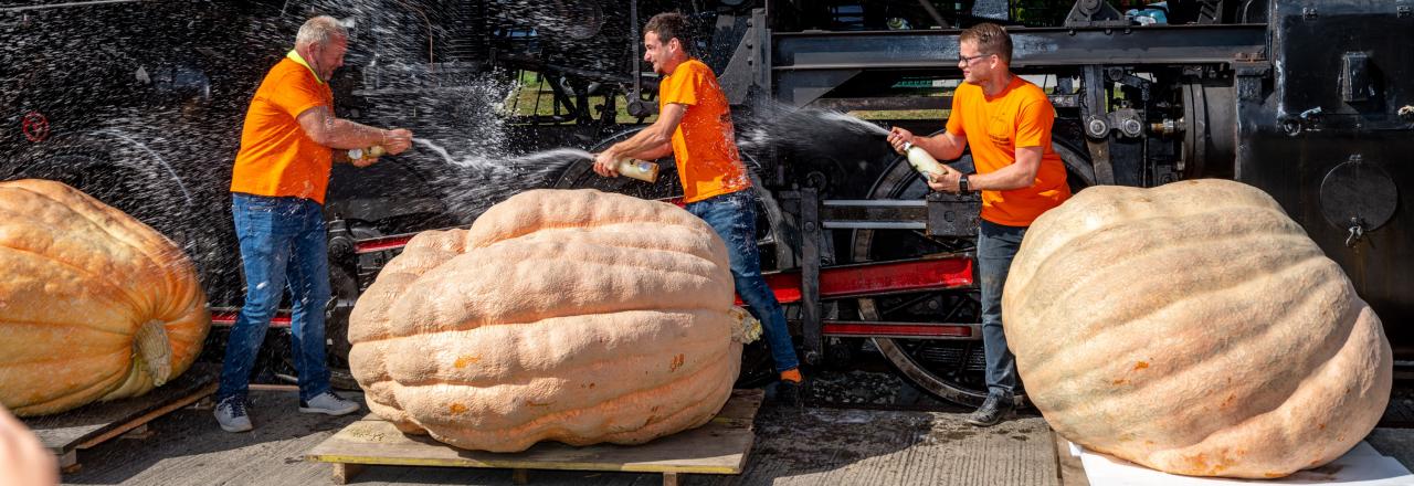 735,7 Kilogramm wiegt der schwerste „Bluza“ Österreichs