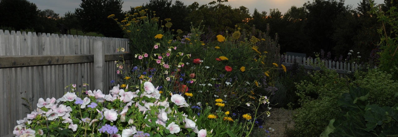 Gartensommer-Vollmondnacht in idyllischer Kulisse 