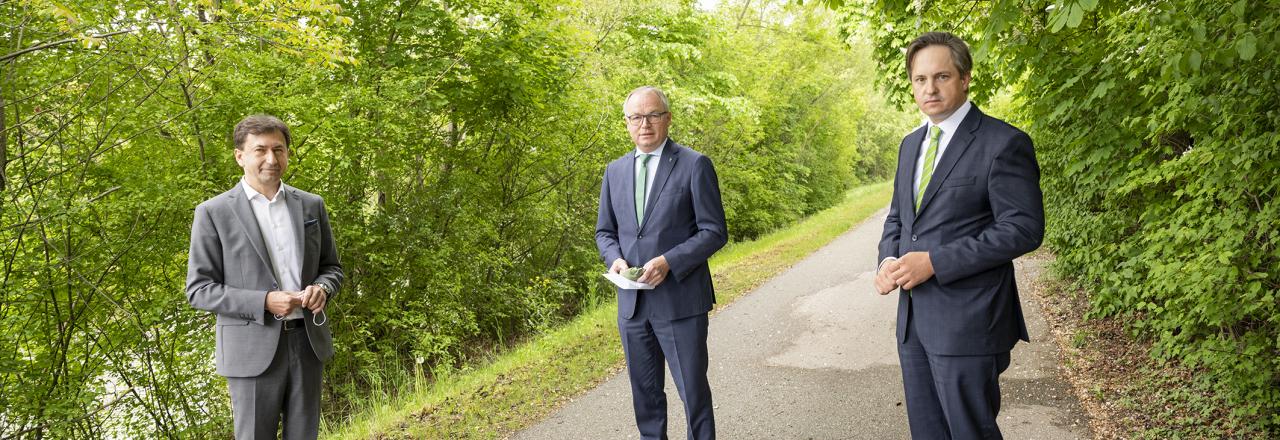 Sägeindustrie reduziert Holzimporte