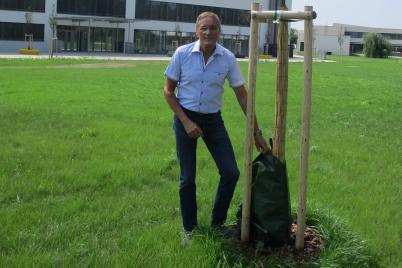 Effektive Bewässerung der Gemeindebäume