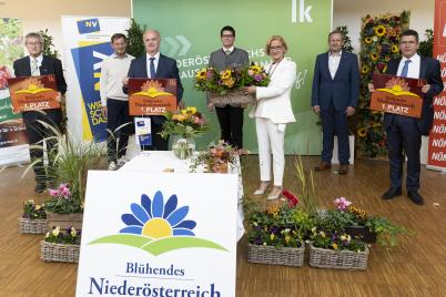 Ortschaften und Städte mit Blumenschmuck zu verschönern