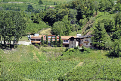 Der „Falstaff Wein Guide Österreich/Südtirol 2021/2022“ ist da