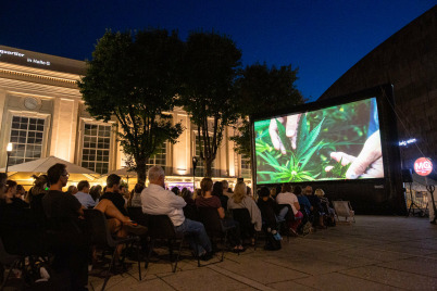 Frameout Freiluftkino im MuseumsQuartier Wien im August