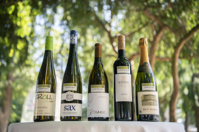 Weingut Steininger holt sich Titel „Weingut des Jahres“