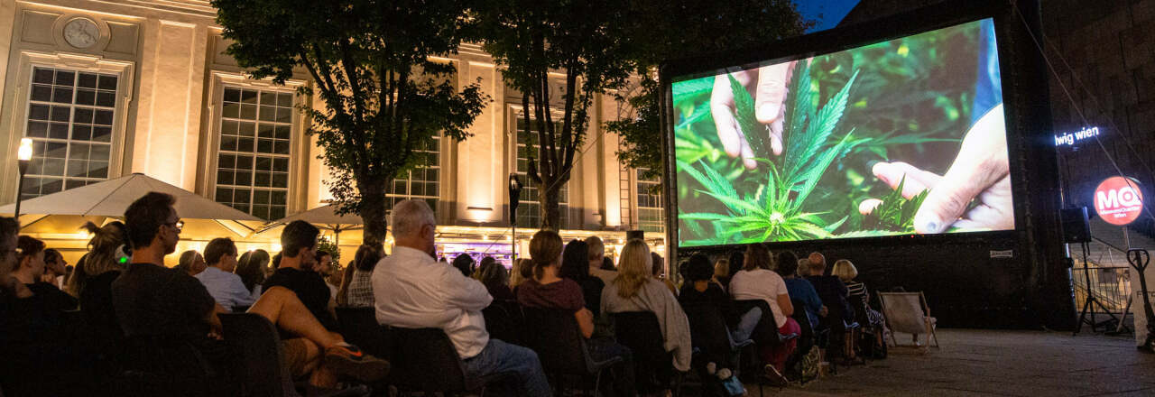 Frameout Freiluftkino im MuseumsQuartier Wien im August