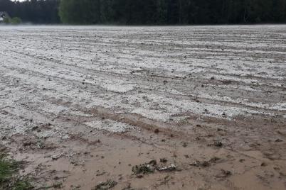 Unwetter verursachten in Niederösterreich Schäden in Millionenhöhe