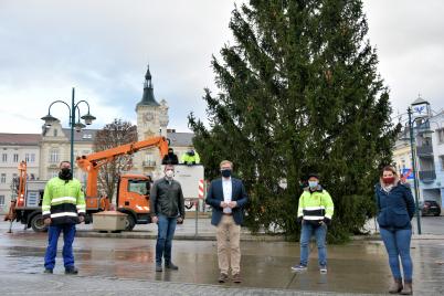 Franz Treimer spendete Hauptplatz-Weihnachtsbaum