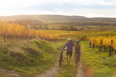 Freiheit auf zwei Rädern mit dem eBike- & Fahrradverleih im Retzer Land