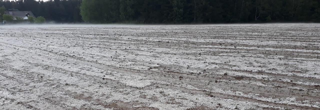 Unwetter verursachten in Niederösterreich Schäden in Millionenhöhe