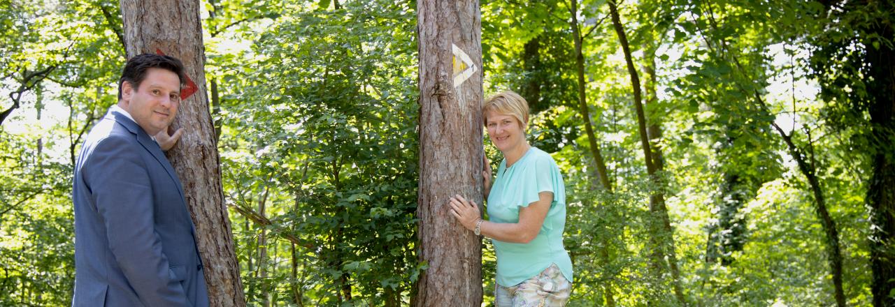 Schutz der Wälder