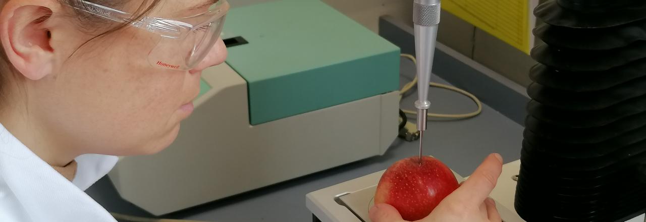 Erstaunliche Innovationen mit Äpfeln, Nüssen und Kräutern