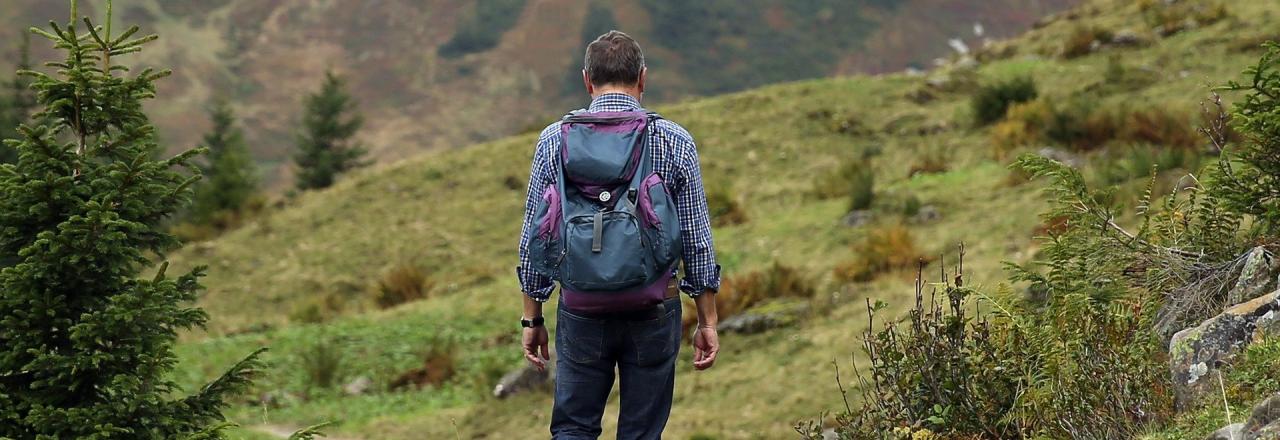 VPNÖ-Kainz: NÖ Wanderwege laden zum Entdecken ein