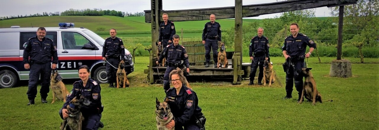 Mutmaßlicher Einbruchsdiebstahl in Wilfersdorf