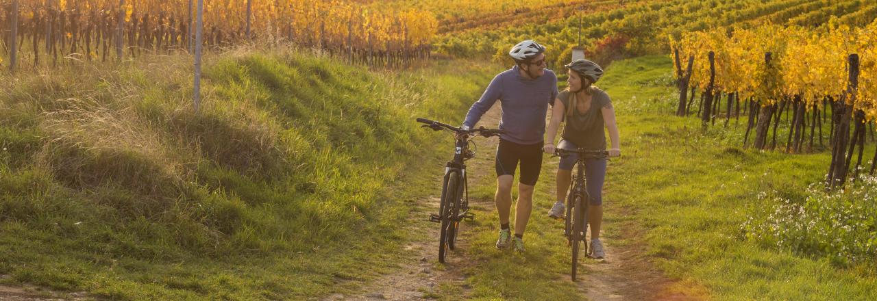 Freiheit auf zwei Rädern mit dem eBike- & Fahrradverleih im Retzer Land