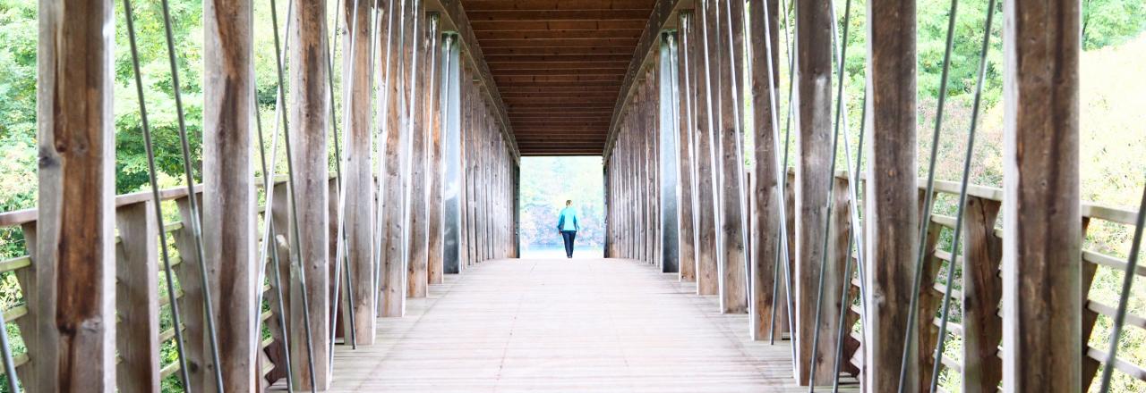 Lichtbrücke zu neuem Leben