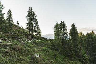 Wildromantische Wanderregion lädt zum Kraftorte-Sammeln ein