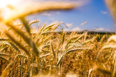 EU-Green Deal muss vorbildliche Landwirtschaft belohnen