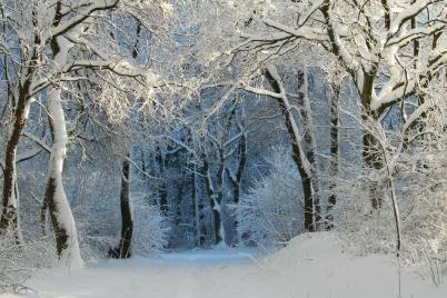 Niederösterreichs schönste Wege an der frischen Winterluft