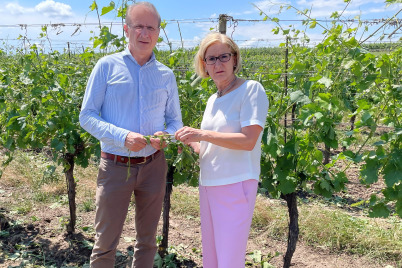 LH Mikl-Leitner und Weinberger besichtigen schwerste Schäden in der NÖ. Landwirtschaft