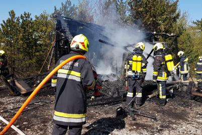 Feuerwehr verhindert Waldbrand in der Gemeinde Furth an der Triesting