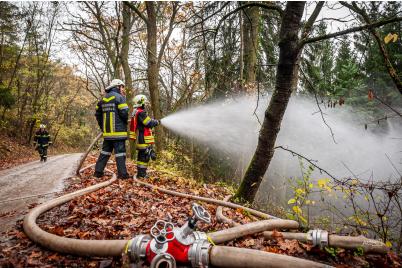 Die Serie der Waldbrände reißt nicht ab