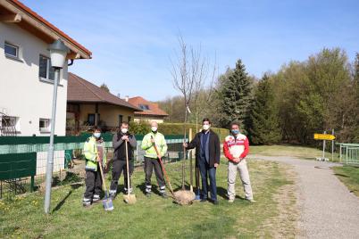 Für Bienen und Menschen