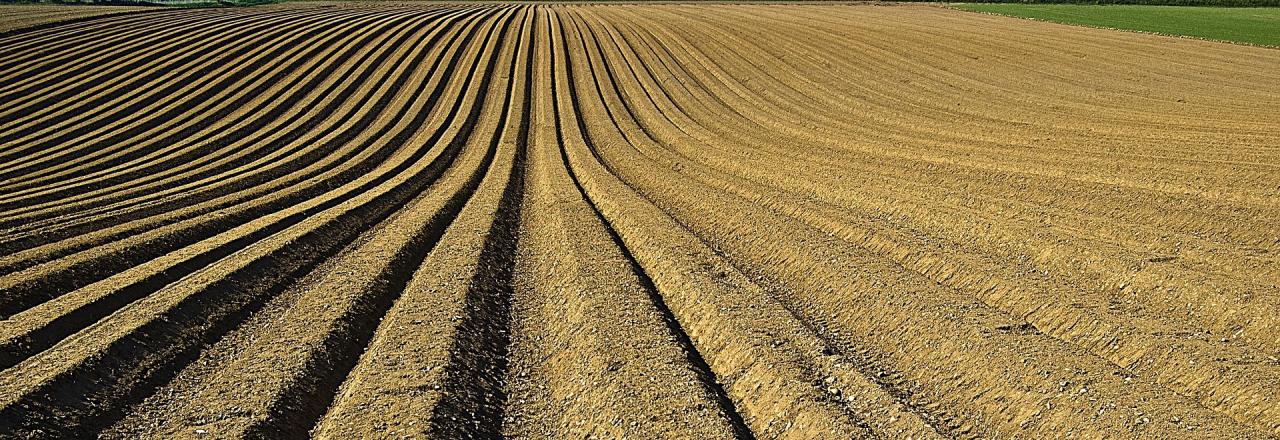 Karner Düngerproduktion vergrößert den Betriebsstandort Neulengbach