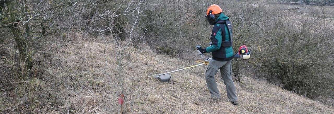 Riedenthal: Pflegeeinsatz für die Natur!