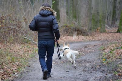 Auf zwei Beinen und vier Pfoten die Stadt entdecken