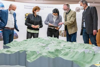 UNESCO-Weltnaturerbe Wildnisgebiet Dürrenstein bald für alle erlebbar