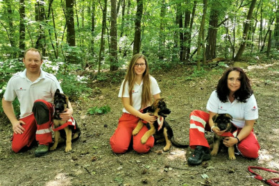 Drei neue Personensuchhunde beim Roten Kreuz in Poysdorf