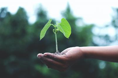 Weltweit größter Wettbewerb für grüne Start-Ups