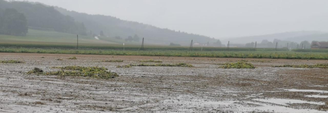 Unwetter hinterlassen im Süden erneut eine Spur der Verwüstung