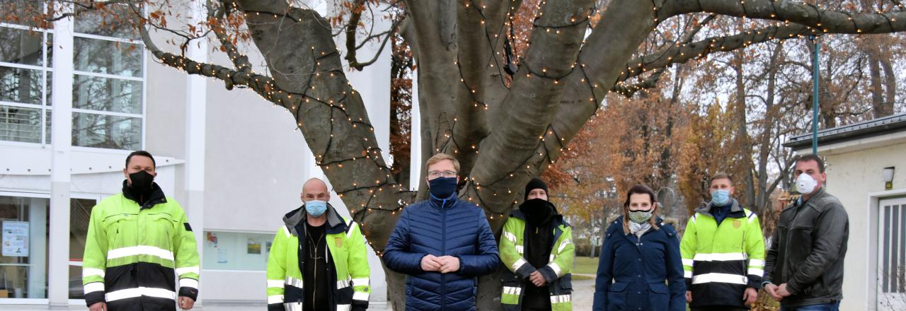 Mistelbach erstrahlt im weihnachtlichen Flair