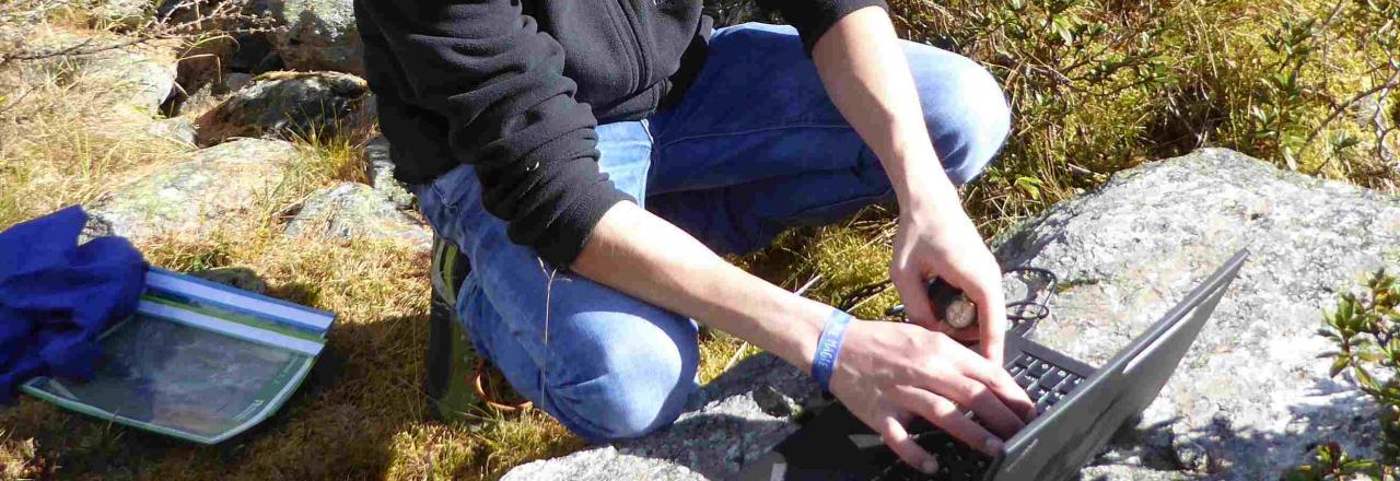 Beginn Einreichfrist für Forschungsstipendien im Nationalpark Hohe Tauern