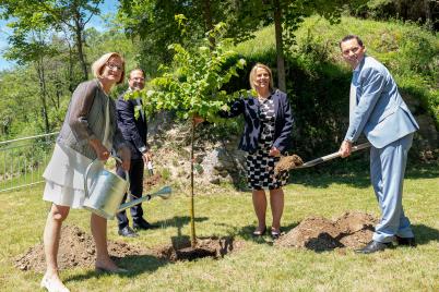 Erster zertifizierter Heilwald Österreichs entsteht in Senftenberg