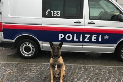 Raub auf ein Geldinstitut im Bezirk Hollabrunn geklärt