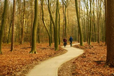 Radwege in Niederösterreich boomen heuer wie nie zuvor