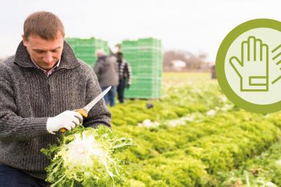 Lebensmittel nicht am Feld verfaulen lassen