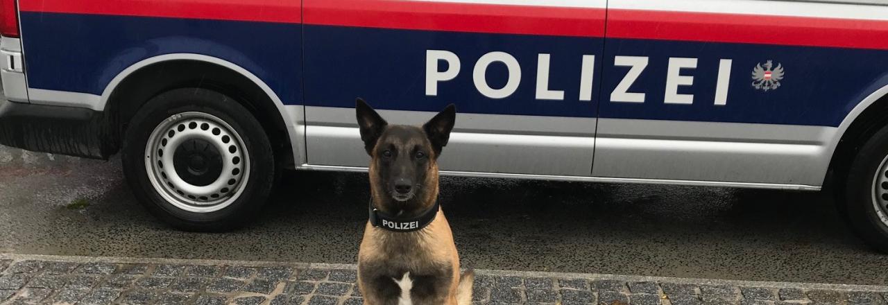 Raub auf ein Geldinstitut im Bezirk Hollabrunn geklärt